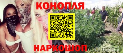 прущие грибы Заволжье